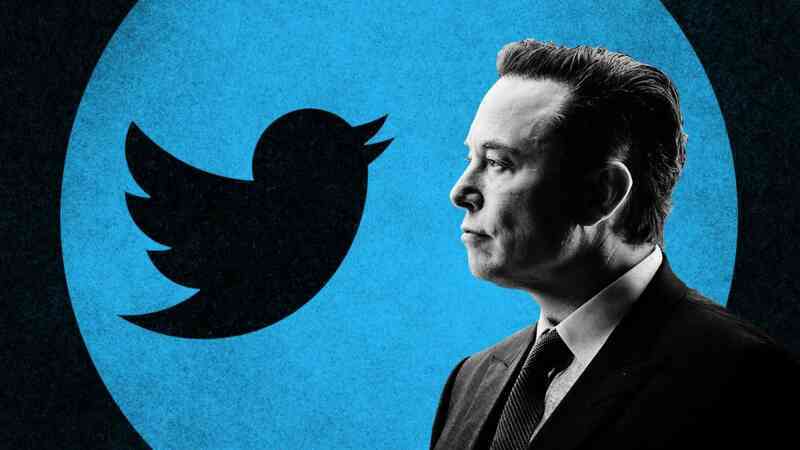 Elon Musk 'thanh trừng' Twitter, cho một nửa nhân số viên nghỉ việc