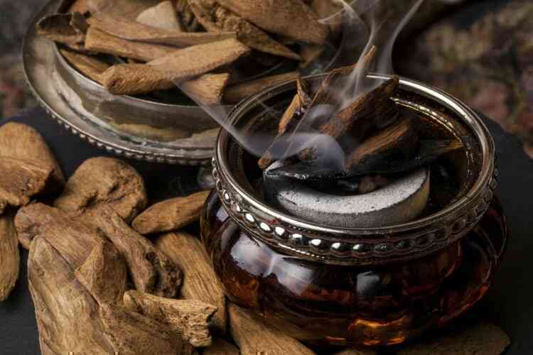 Gỗ đen châu Phi, một trong những loại gỗ đắt đỏ nhất trên thế giới! - Ảnh 5. Gỗ đen châu Phi, một trong những loại gỗ đắt đỏ nhất trên thế giới! - Ảnh 5.