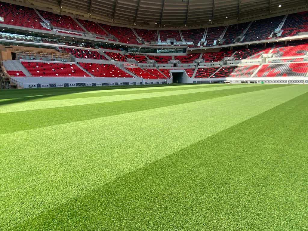 Cách một công ty ở Mỹ trồng cỏ rồi mang tới Qatar cho kỳ World Cup 2022 - Ảnh 3.