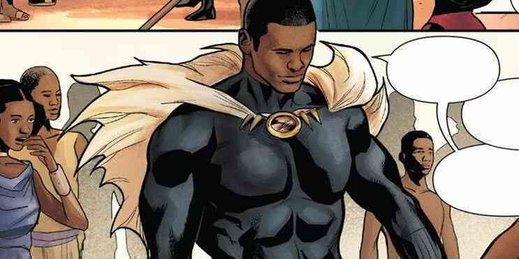 Tất tần tật các phiên bản Black Panther từ thời tiền sử cho đến tương lai - Ảnh 8. Tất tần tật các phiên bản Black Panther từ thời tiền sử cho đến tương lai - Ảnh 8.