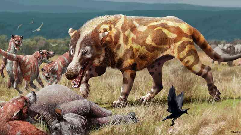 Andrewsarchus: Một trong những loài thú ăn thịt đáng sợ nhất từng tồn tại trên hành tinh của chúng ta! - Ảnh 3.