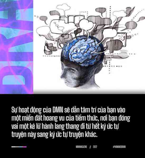 Đi tìm suối nguồn sáng tạo trong não bộ: Tại sao những ý tưởng đột phá luôn xuất hiện khi chúng ta đang tắm? - Ảnh 8.