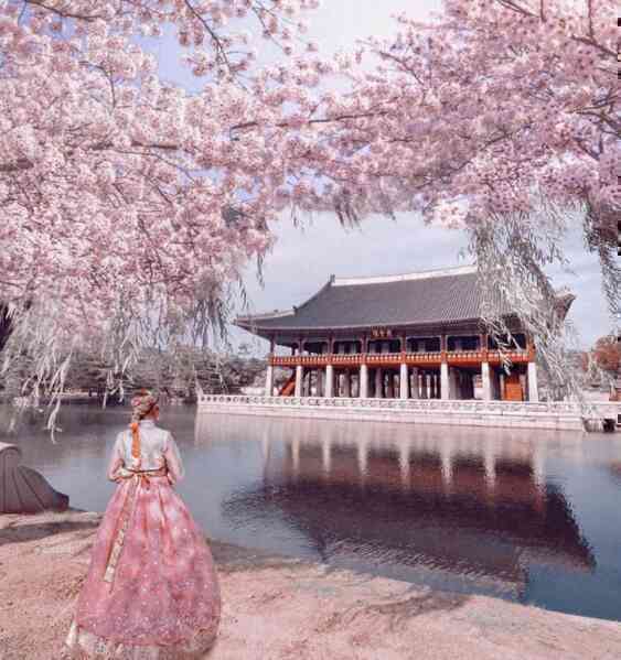 Mùa xuân xứ kim chi – Bản tình ca lãng mạn và quyến rũ - Ảnh 2. Mùa xuân xứ kim chi – Bản tình ca lãng mạn và quyến rũ - Ảnh 2.