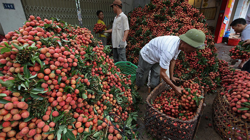 Nông nghiệp thông minh phải có bắt tay của “nhà nông - nhà bán lẻ - nhà công nghệ”