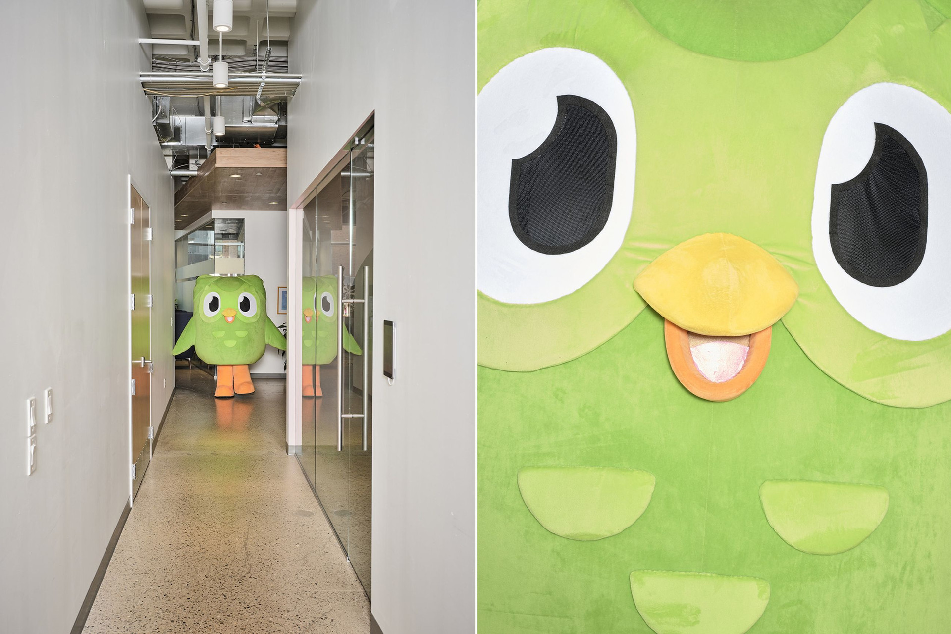 Duolingo: Từ một startup thua lỗ, CEO không màng doanh thu đến đế chế thay đổi ‘cuộc chơi’ học ngoại ngữ trực tuyến