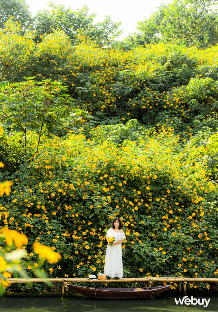 Săn hoa dã quỳ giữa lòng Hà Nội với ống kính Sigma 90mm f2.8 DG DN