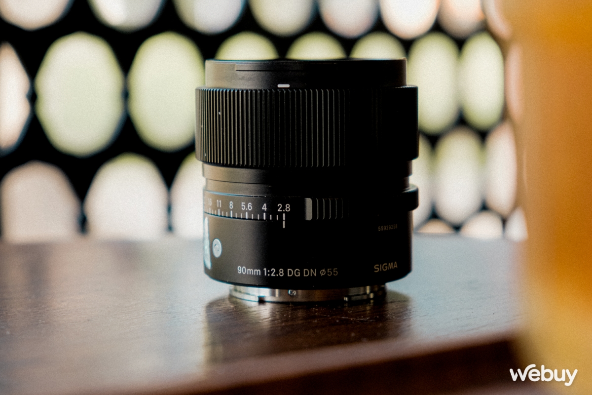 Săn hoa dã quỳ giữa lòng Hà Nội với ống kính Sigma 90mm f2.8 DG DN - Ảnh 3.