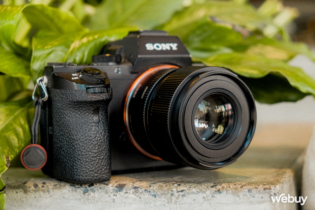 Săn hoa dã quỳ giữa lòng Hà Nội với ống kính Sigma 90mm f2.8 DG DN - Ảnh 4.
