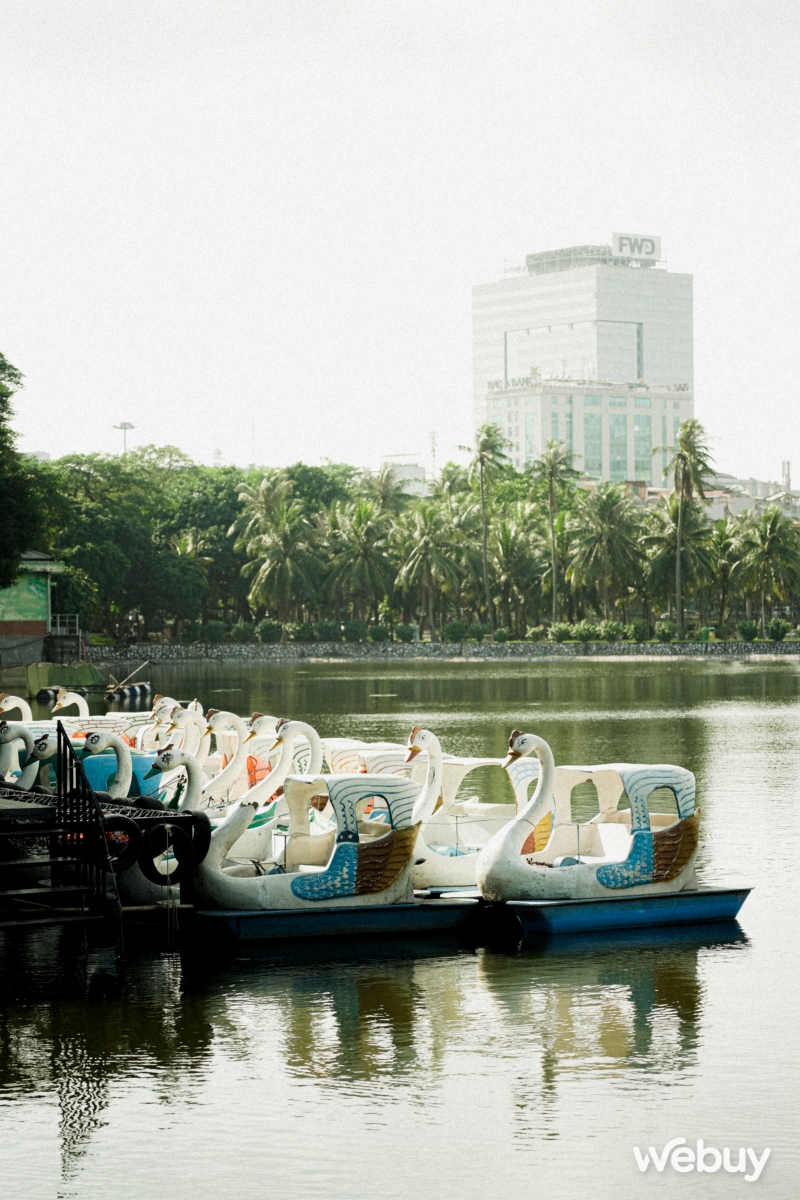 Săn hoa dã quỳ giữa lòng Hà Nội với ống kính Sigma 90mm f2.8 DG DN
