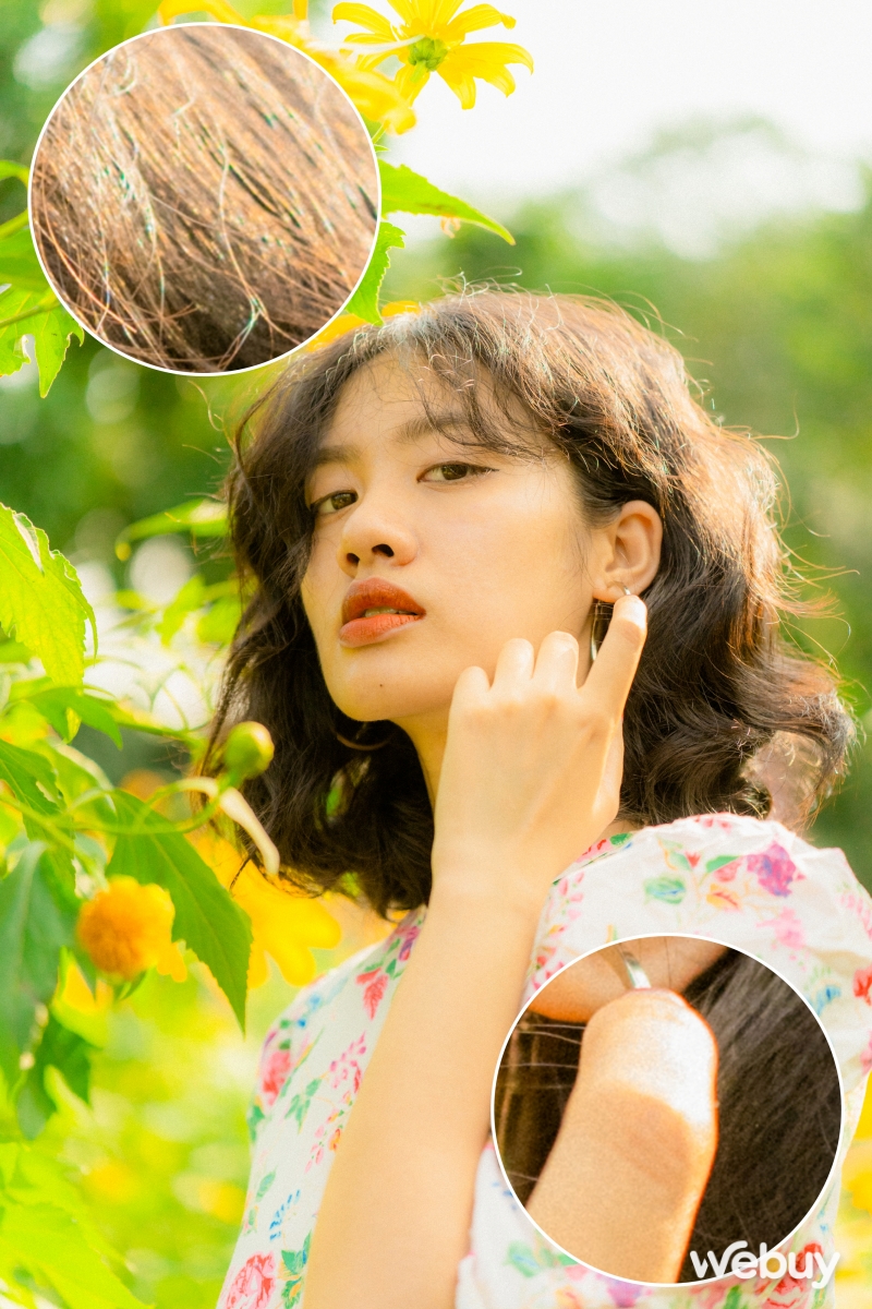Săn hoa dã quỳ giữa lòng Hà Nội với ống kính Sigma 90mm f2.8 DG DN - Ảnh 6.
