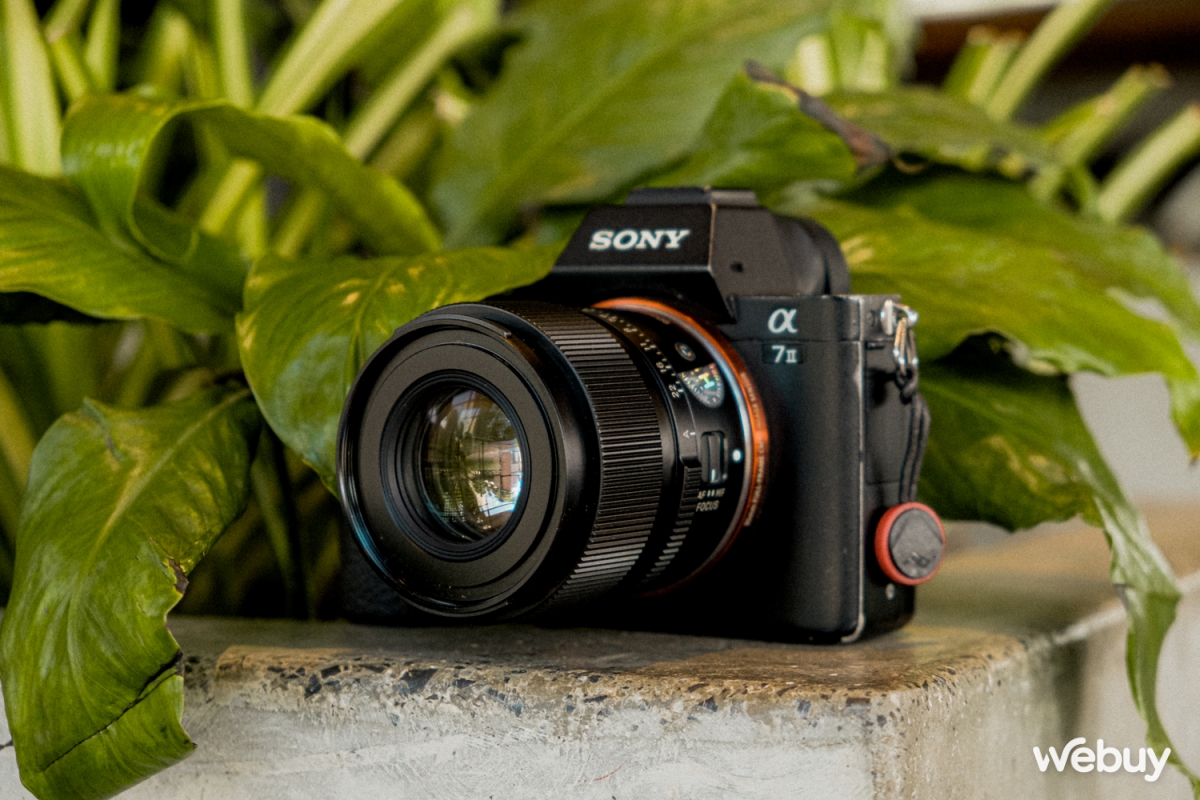 Săn hoa dã quỳ giữa lòng Hà Nội với ống kính Sigma 90mm f2.8 DG DN - Ảnh 9.