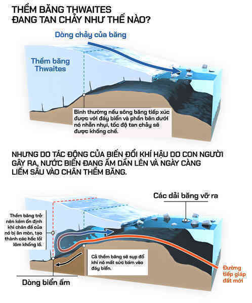 [mini] Những dấu chân độc hành trên thềm băng tận thế - Ảnh 10.