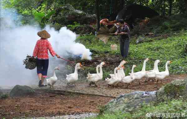 "Ngôi làng cổ tích" của Trung Quốc hóa ra chỉ là một thì trấn với những người nông dân giả danh và ngư dân rởm - Ảnh 6. "Ngôi làng cổ tích" của Trung Quốc hóa ra chỉ là một thì trấn với những người nông dân giả danh và ngư dân rởm - Ảnh 6.