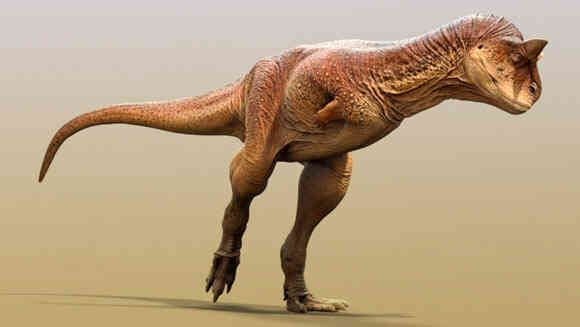 image_10578_1-Carnotaurus-sastrei.jpg image_10578_1-Carnotaurus-sastrei.jpg