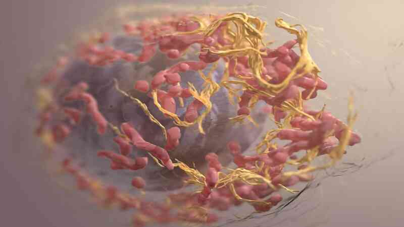 new-algorithm-reveals-how-tumors-evolve-during-their-lifetime-339351-1280x720.jpg new-algorithm-reveals-how-tumors-evolve-during-their-lifetime-339351-1280x720.jpg
