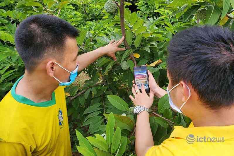 3 địa phương thành lập gần 2.300 Tổ công nghệ cộng đồng hỗ trợ chuyển đổi số