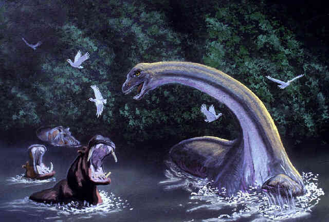 Mokele-Mbembe: Quái vật bí ẩn trong rừng rậm Châu Phi?