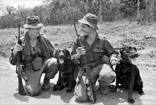 Mercy dog - Những người hùng thầm lặng trong Thế chiến thứ nhất - Ảnh 8. Mercy dog - Những người hùng thầm lặng trong Thế chiến thứ nhất - Ảnh 8.