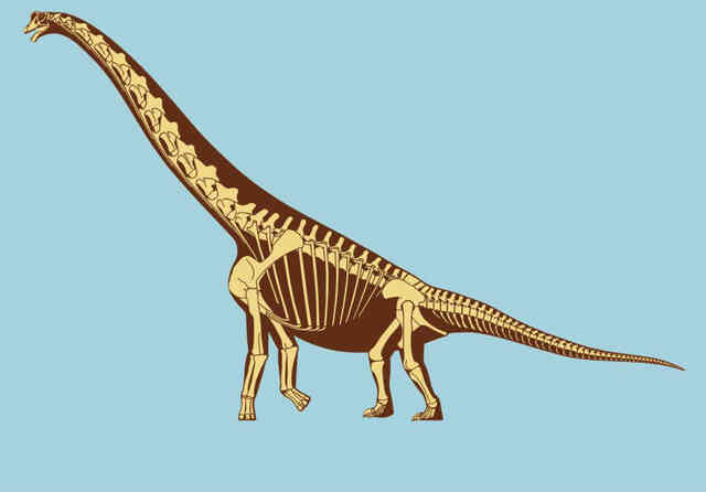 Khủng long Brachiosaurus, chỉ cần nôn thôi đã có thể giết được bạn rồi! - Ảnh 3. Khủng long Brachiosaurus, chỉ cần nôn thôi đã có thể giết được bạn rồi! - Ảnh 3.