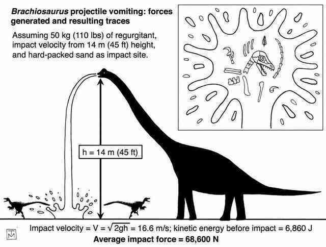 Khủng long Brachiosaurus, chỉ cần nôn thôi đã có thể giết được bạn rồi! - Ảnh 4. Khủng long Brachiosaurus, chỉ cần nôn thôi đã có thể giết được bạn rồi! - Ảnh 4.