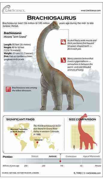 Khủng long Brachiosaurus, chỉ cần nôn thôi đã có thể giết được bạn rồi! - Ảnh 5. Khủng long Brachiosaurus, chỉ cần nôn thôi đã có thể giết được bạn rồi! - Ảnh 5.