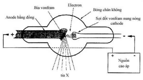 MohinhbongphattiaX.jpg MohinhbongphattiaX.jpg