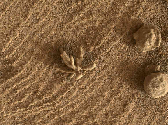 Tàu Curiosity tìm thấy vật thể giống san hô trên sao Hỏa