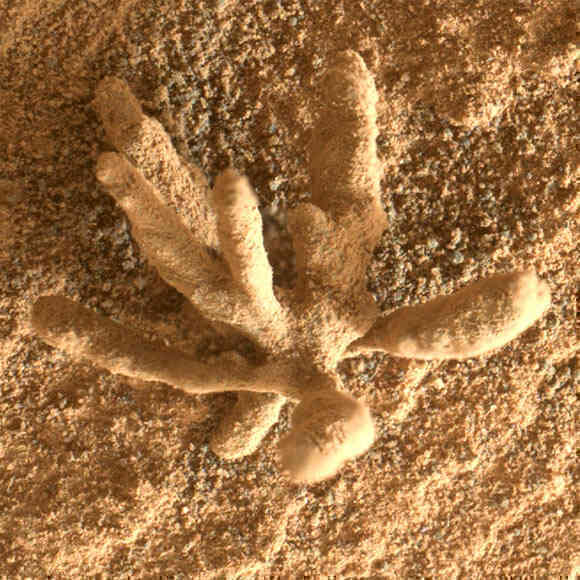 Tàu Curiosity Rover của NASA tìm thấy 'San hô' trên sao Hỏa - Ảnh 4. Tàu Curiosity Rover của NASA tìm thấy 'San hô' trên sao Hỏa - Ảnh 4.