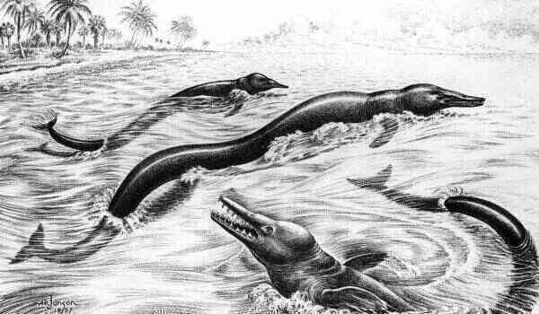 content-1647619728-king-lizard-basilosaurus.jpg content-1647619728-king-lizard-basilosaurus.jpg