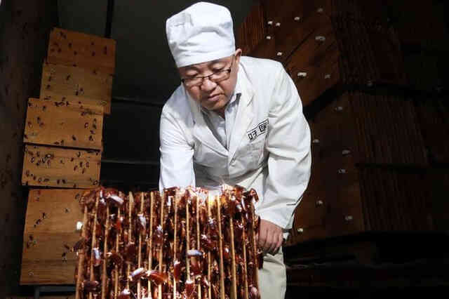 Gián đang trở thành món ăn ưa thích đối với người Trung Quốc - Ảnh 2. Gián đang trở thành món ăn ưa thích đối với người Trung Quốc - Ảnh 2.