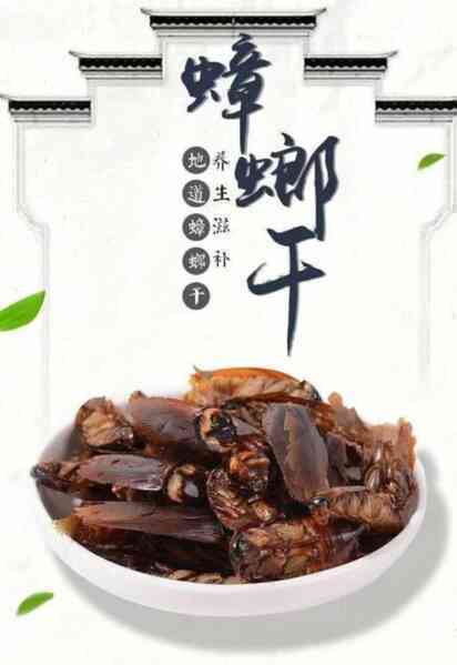 Gián đang trở thành món ăn ưa thích đối với người Trung Quốc - Ảnh 6. Gián đang trở thành món ăn ưa thích đối với người Trung Quốc - Ảnh 6.