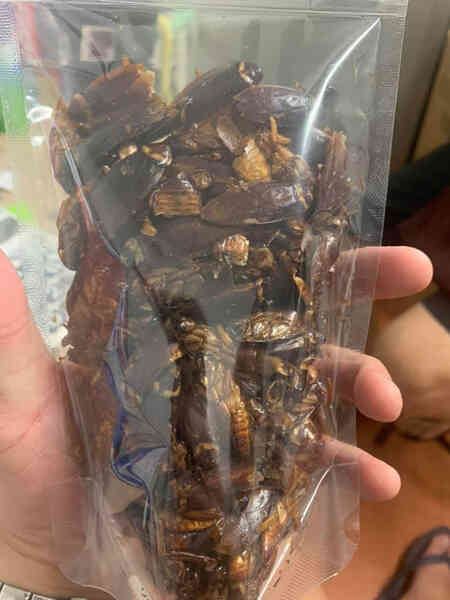 Gián đang trở thành món ăn ưa thích đối với người Trung Quốc - Ảnh 7. Gián đang trở thành món ăn ưa thích đối với người Trung Quốc - Ảnh 7.
