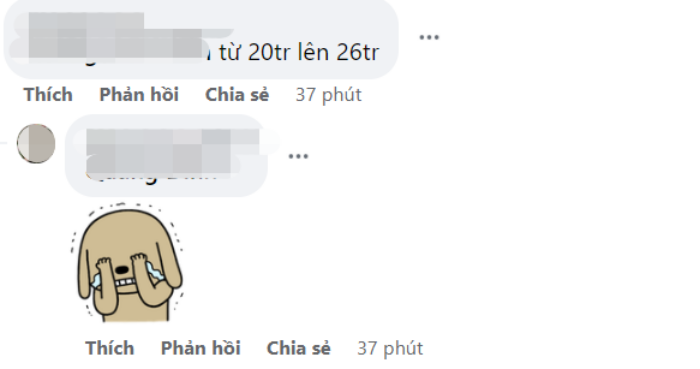  - Ảnh 3.