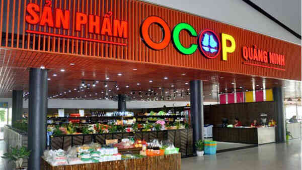 Mở rộng thị trường tiêu thụ sản phẩm OCCP qua các sàn thương mại điện tử
