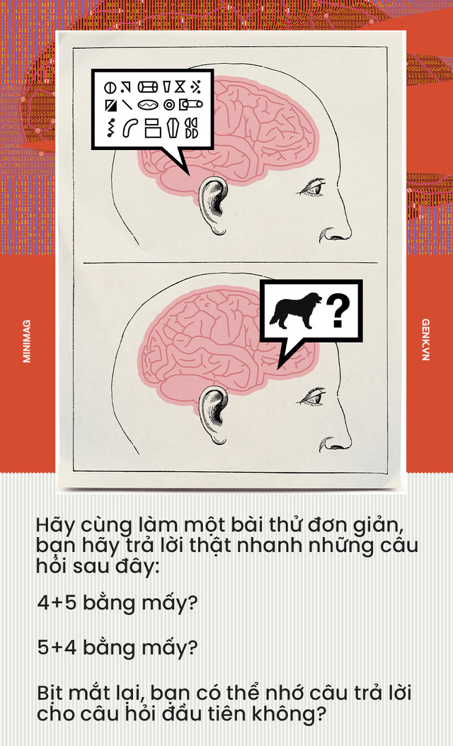 "Não bộ là cỗ máy tính lượng tử tự tưởng tượng ra ảo giác về toán học" - Ảnh 1. "Não bộ là cỗ máy tính lượng tử tự tưởng tượng ra ảo giác về toán học" - Ảnh 1.