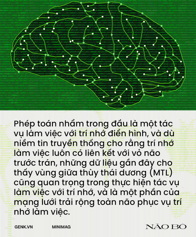 &quot;Não bộ là cỗ máy tính lượng tử tự tưởng tượng ra ảo giác về toán học&quot; - Ảnh 12.