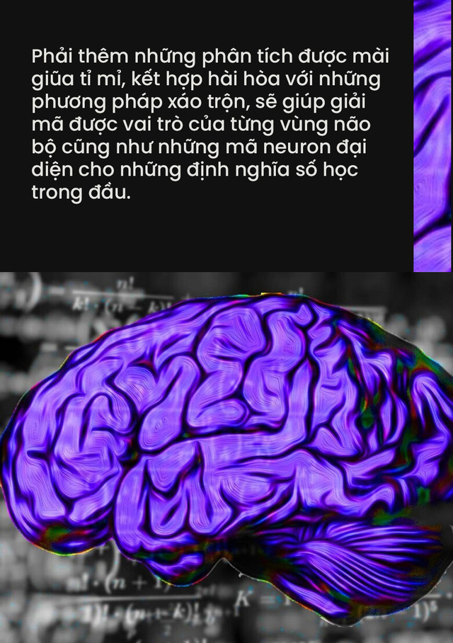 &quot;Não bộ là cỗ máy tính lượng tử tự tưởng tượng ra ảo giác về toán học&quot; - Ảnh 16.