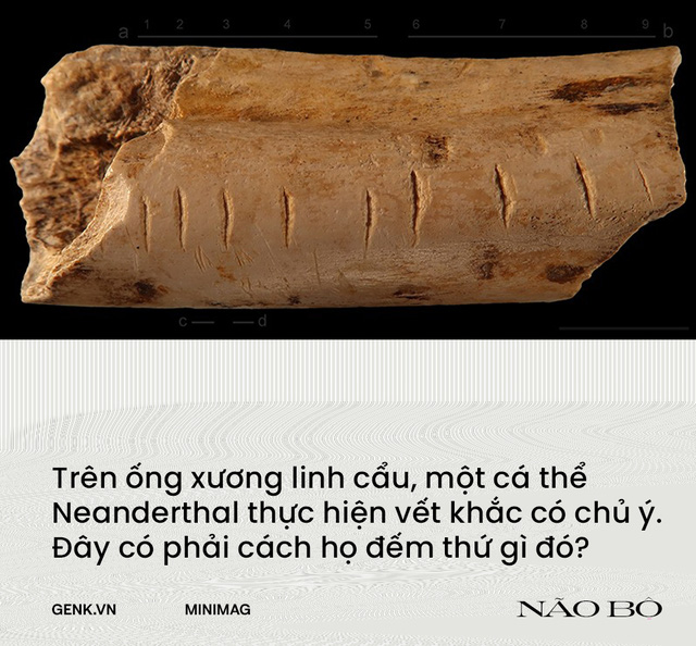 "Não bộ là cỗ máy tính lượng tử tự tưởng tượng ra ảo giác về toán học" - Ảnh 3. "Não bộ là cỗ máy tính lượng tử tự tưởng tượng ra ảo giác về toán học" - Ảnh 3.