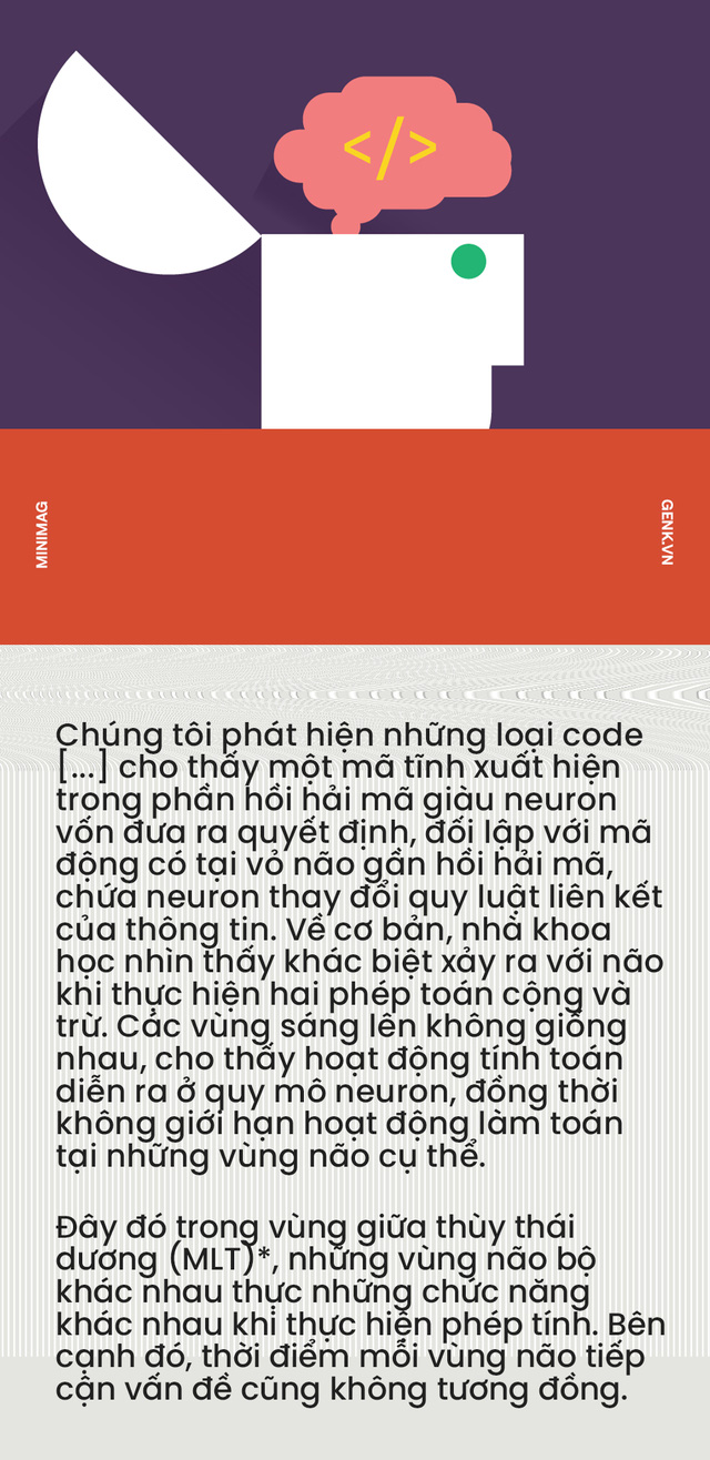 &quot;Não bộ là cỗ máy tính lượng tử tự tưởng tượng ra ảo giác về toán học&quot; - Ảnh 5.