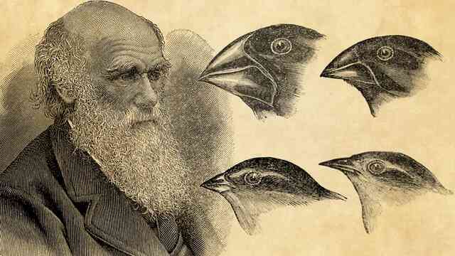 Sau 20 năm lưu lạc, 2 cuốn sổ tay vô giá của Charles Darwin đã được người bí ẩn trả lại Thư viện Đại học Cambridge