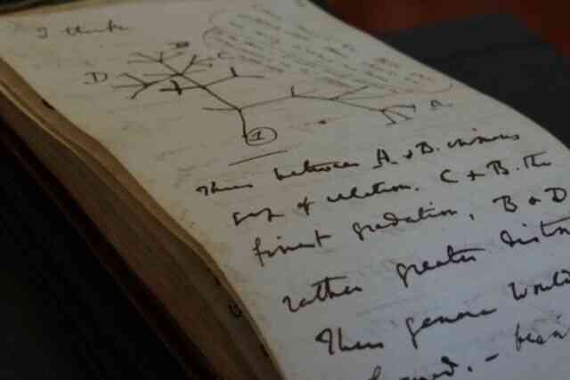 Sau 20 năm lưu lạc, 2 cuốn sổ tay vô giá của Charles Darwin đã được người bí ẩn trả lại Thư viện Đại học Cambridge - Ảnh 3.