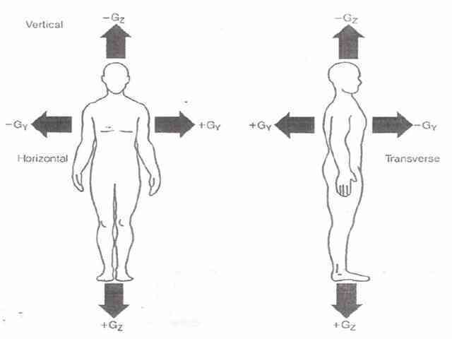 Bí ẩn hiện tượng bất ngờ già đi và trẻ lại ở phi công - Ảnh 6.