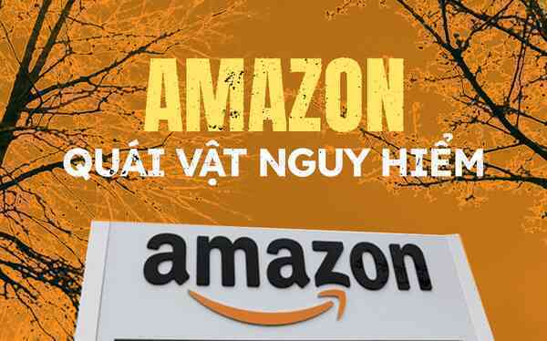 Amazon – 'Nỗi sợ hãi' của các nhà buôn - Ảnh 1.