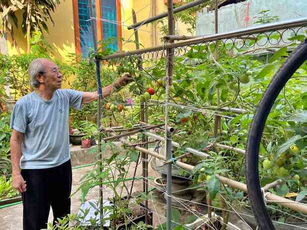 Cụ ông 87 tuổi chịu chơi mang cả cái ao đặt trên mái nhà rồi trồng rau nuôi cá: Nhiều người nói tôi liều lĩnh - Ảnh 8.