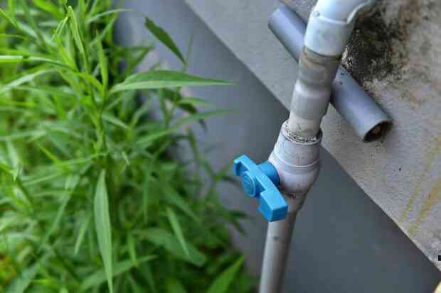 Cụ ông 87 tuổi chịu chơi mang cả cái ao đặt trên mái nhà rồi trồng rau nuôi cá: Nhiều người nói tôi liều lĩnh - Ảnh 9. Cụ ông 87 tuổi chịu chơi mang cả cái ao đặt trên mái nhà rồi trồng rau nuôi cá: Nhiều người nói tôi liều lĩnh - Ảnh 9.