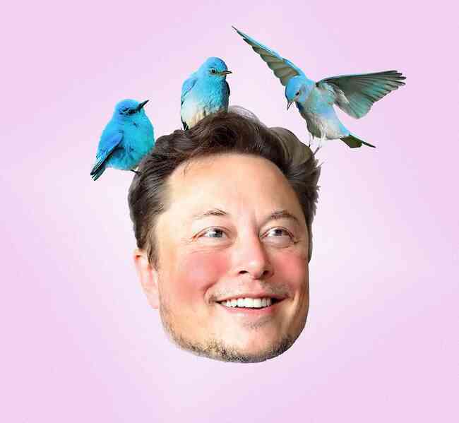 Vay nợ mua Twitter, Elon Musk sẽ phải trả khoản tiền lãi 1 tỷ USD/năm - Ảnh 2. Vay nợ mua Twitter, Elon Musk sẽ phải trả khoản tiền lãi 1 tỷ USD/năm - Ảnh 2.
