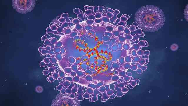 Bệnh đậu mùa khỉ do virus MPXV bùng phát ở Châu Âu, đây là những gì bạn cần biết - Ảnh 1. Bệnh đậu mùa khỉ do virus MPXV bùng phát ở Châu Âu, đây là những gì bạn cần biết - Ảnh 1.