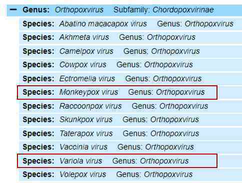 Bệnh đậu mùa khỉ do virus MPXV bùng phát ở Châu Âu, đây là những gì bạn cần biết - Ảnh 2.