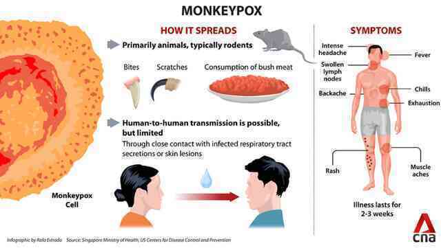 Bệnh đậu mùa khỉ do virus MPXV bùng phát ở Châu Âu, đây là những gì bạn cần biết - Ảnh 6.