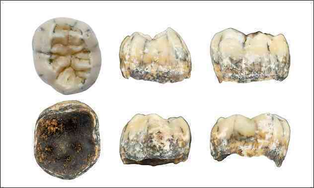 Phát hiện chiếc răng em bé 130.000 tuổi trên núi, các nhà khảo cổ ngỡ ngàng về quá khứ loài người cổ xưa ở Đông Nam Á - Ảnh 3.